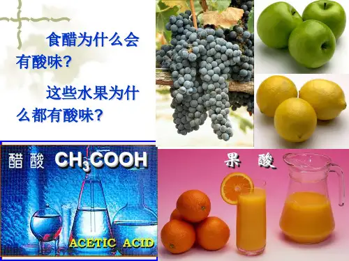 人教版化学九年级下册《常见的酸和碱》ppt课件