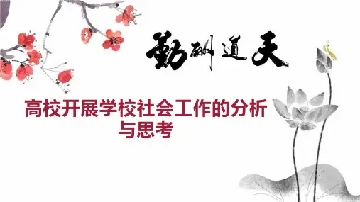 高校开展学校社会工作的分析与思考