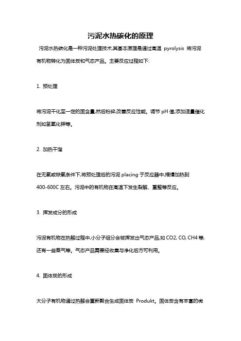 污泥水热碳化的原理