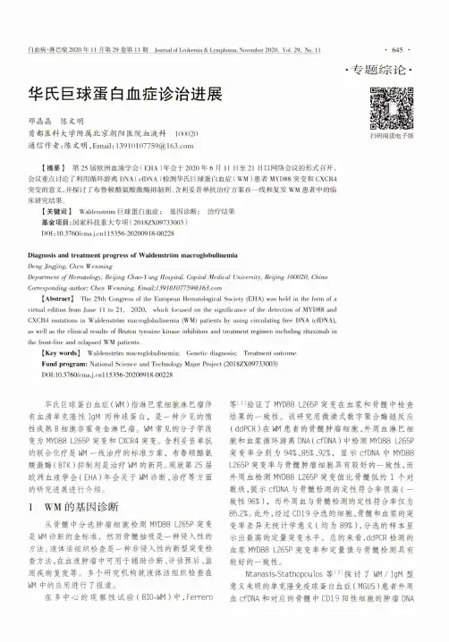 华氏巨球蛋白血症诊治进展