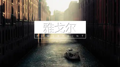 雅戈尔财务状况分析