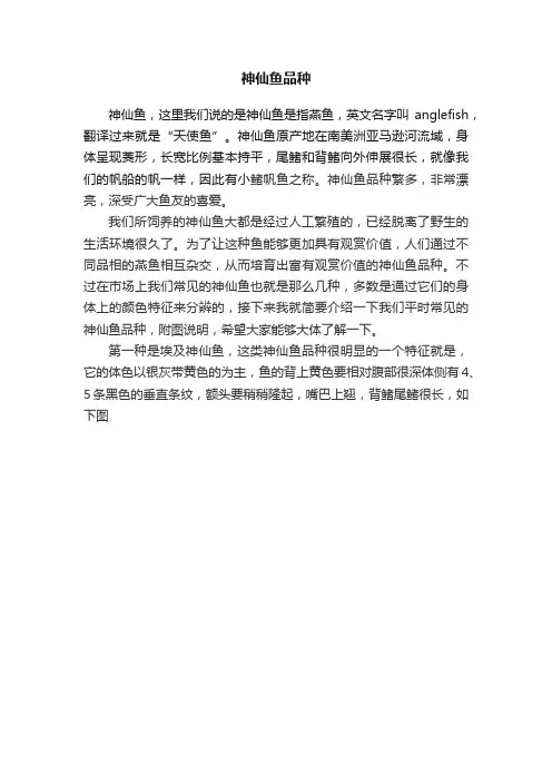 神仙鱼品种