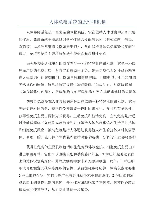 人体免疫系统的原理和机制