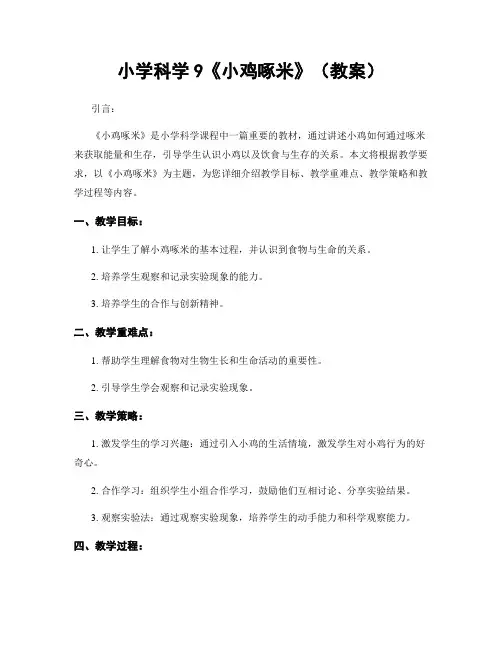 小学科学9《小鸡啄米》(教案)