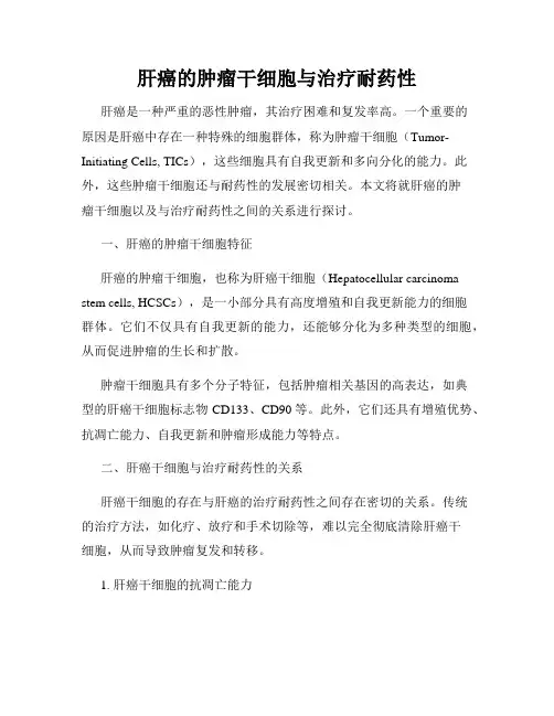 肝癌的肿瘤干细胞与治疗耐药性
