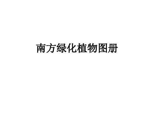 南方绿化植物图册