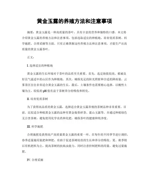 黄金玉露的养殖方法和注意事项