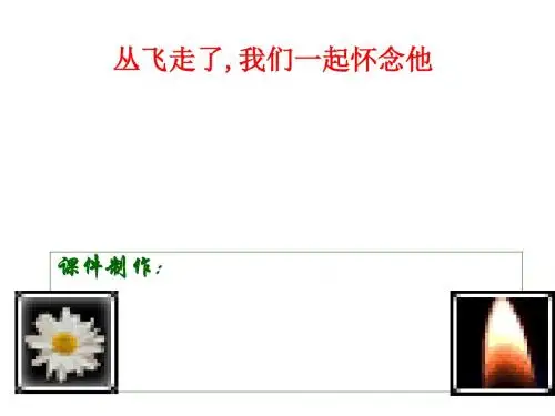 丛飞走了,我们一起怀念他ppt