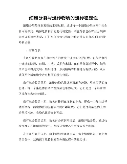 细胞分裂与遗传物质的遗传稳定性