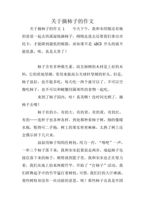 关于摘柿子的作文