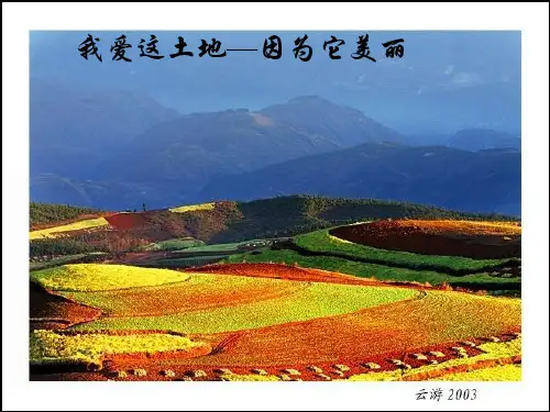 《我爱这土地》PPT课件