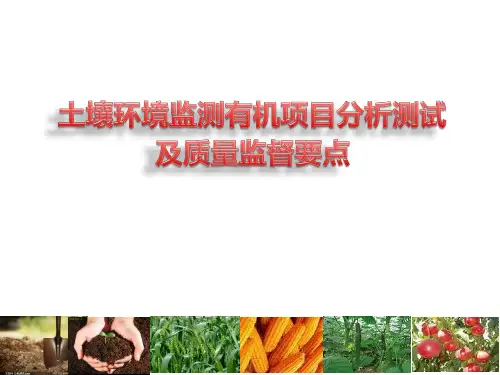 (7-岳新斌)土壤环境监测有机项目PPT课件