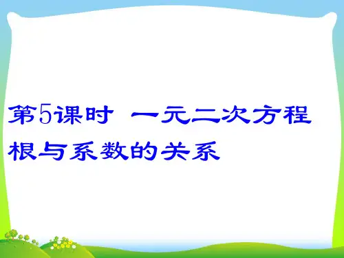 北师大版九年级数学上册《一元二次方程的根与系数的关系》精品课件(共23张PPT)