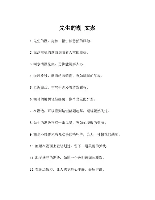 先生的湖 文案