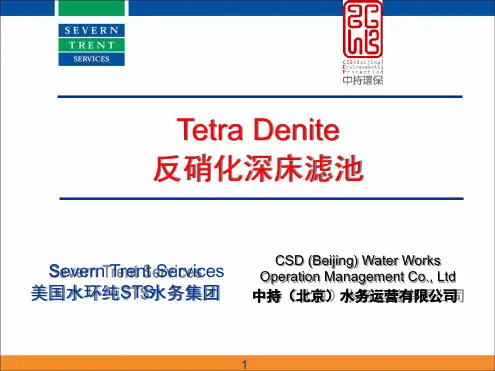 反硝化深床滤池  打印版演示幻灯片