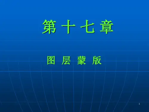 ps17图层蒙版ppt课件