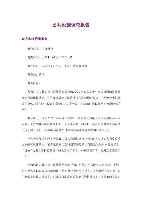 2024年公共设施调查报告