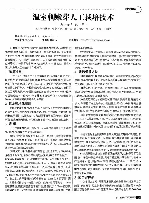 温室刺嫩芽人工栽培技术