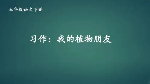 最新部编统编人教版三年级语文下册《习作：我的植物朋友》精品课件