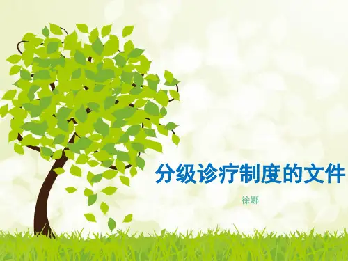 分级诊疗文件