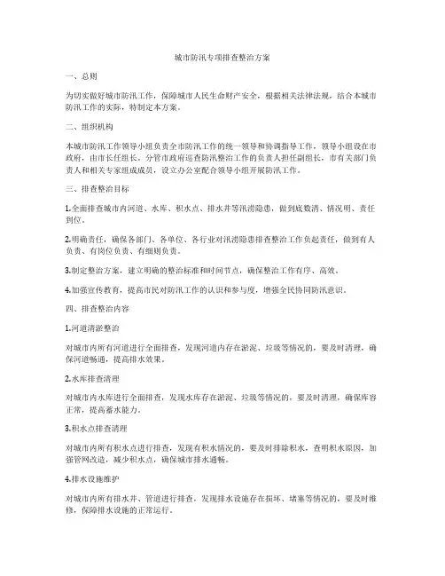 城市防汛专项排查整治方案