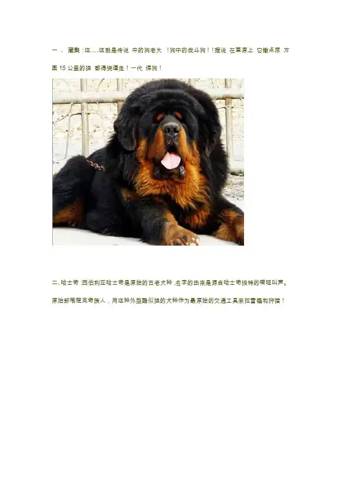 狗品种大全