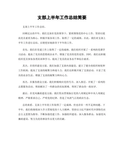 支部上半年工作总结简要