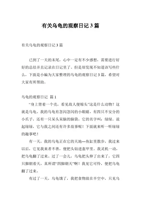 有关乌龟的观察日记3篇