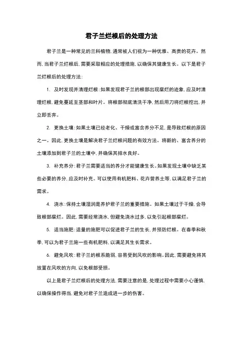 君子兰烂根后的处理方法