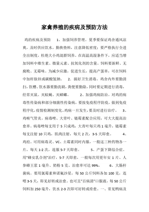 家禽养殖的疾病及预防