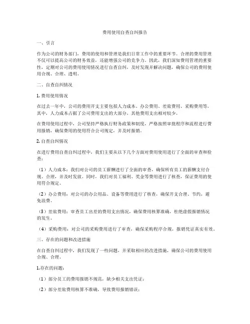 费用使用自查自纠报告