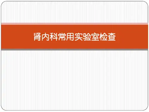 肾内科常用实验室检查详解