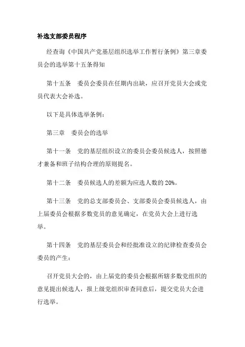 补选支部委员程序