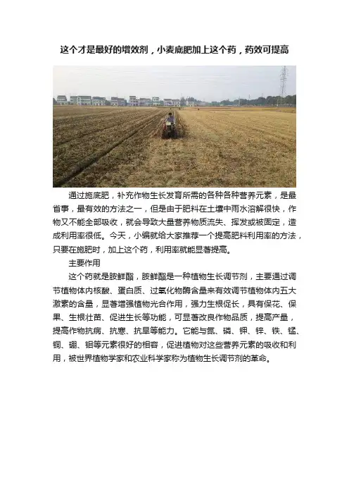 这个才是最好的增效剂，小麦底肥加上这个药，药效可提高