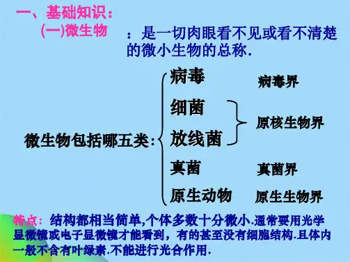 高中生物选修1微生物的实验室培养ppt(共54张PPT)