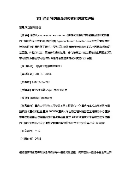 农杆菌介导的番茄遗传转化的研究进展