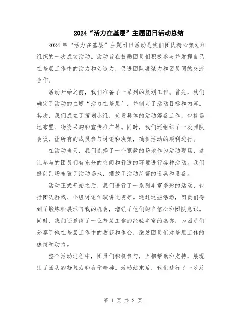 2024“活力在基层”主题团日活动总结