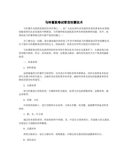 马铃薯脱毒试管苗快繁技术