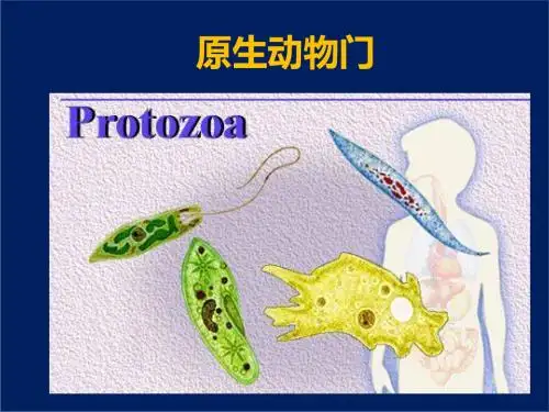 原生动物门114页PPT