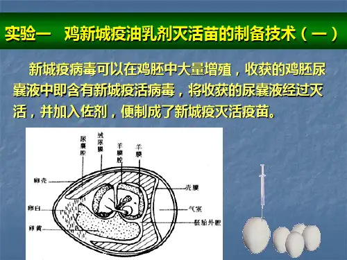 实验一   鸡新城疫疫苗(一)课件