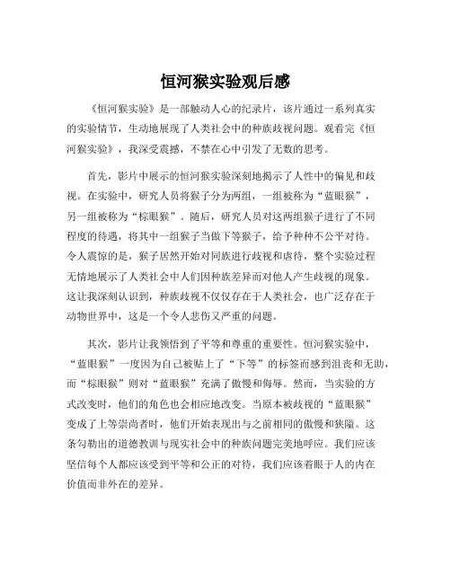恒河猴实验观后感