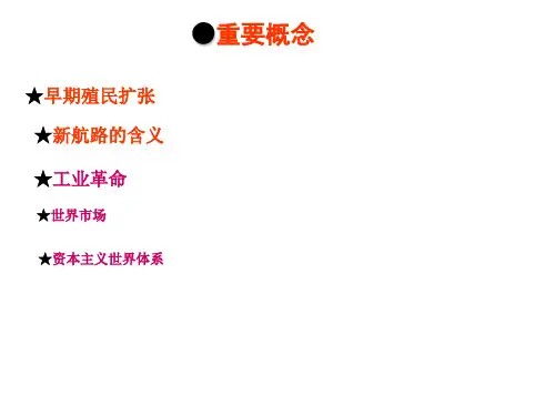 资本主义世界市场的形成与发展(正式)