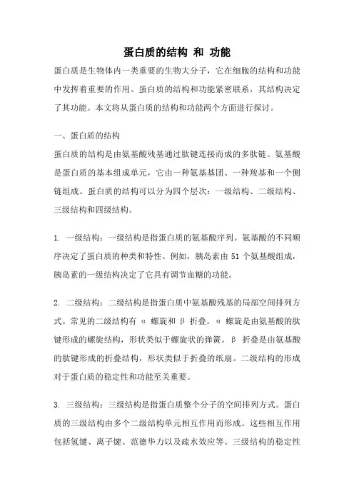 蛋白质的结构 和 功能