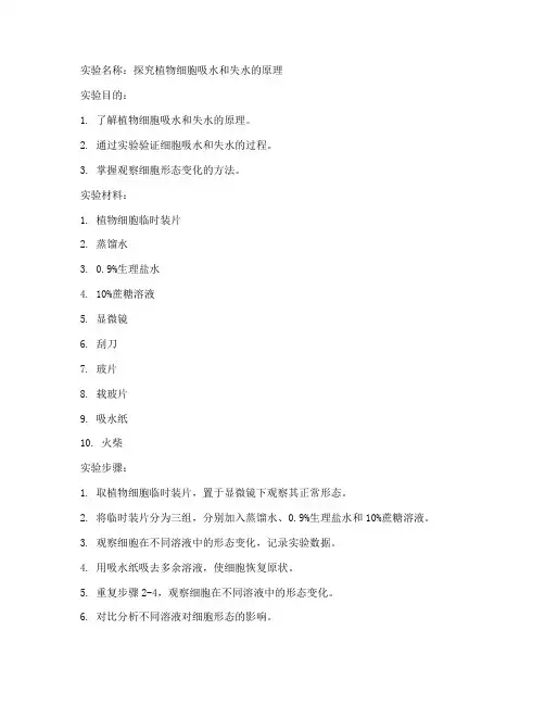 生物实验报告_初中较难