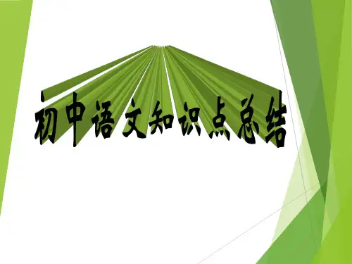 2020年初中语文中考知识点总结