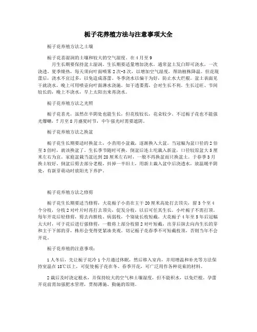 栀子花养殖方法与注意事项大全