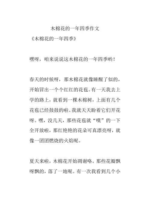 木棉花的一年四季作文