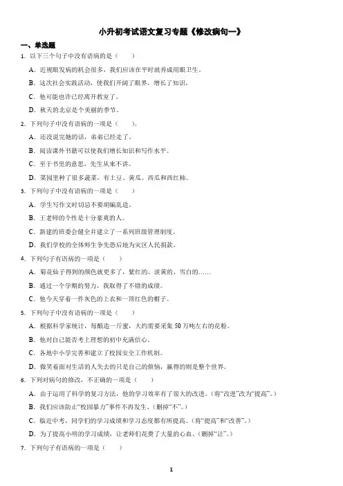 小升初考试语文复习专题《修改病句1》练习及答案
