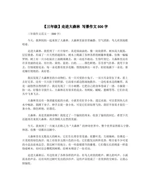 【三年级】走进大森林 写景作文500字