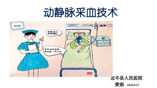 动静脉采血技术 PPT课件